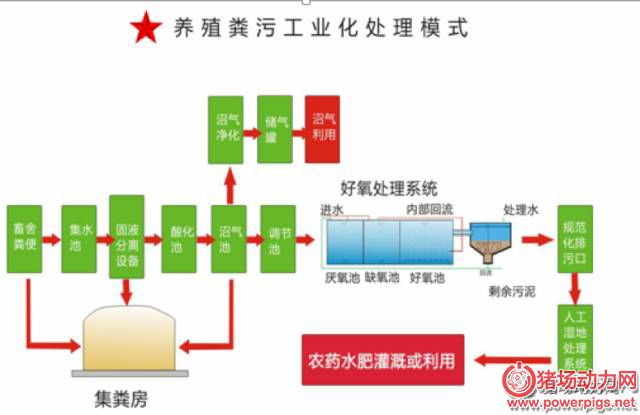 猪场环保怎么做?4位专家提出这些环保新方案